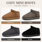 Cozy Mini Boots