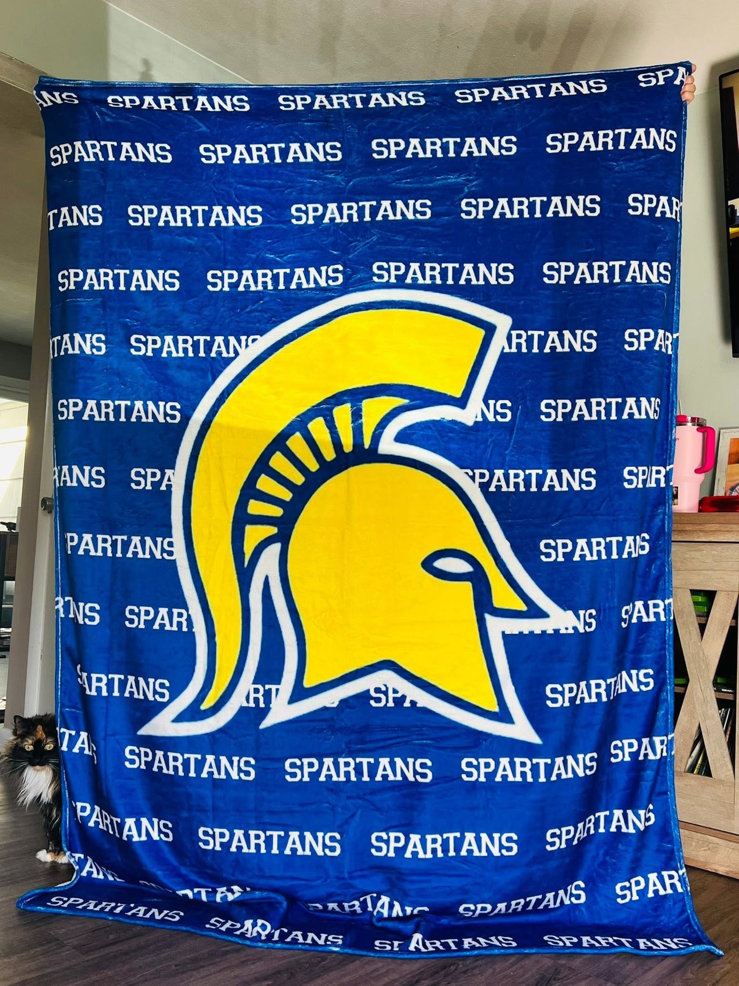 Dancescapes Fleece Blankets