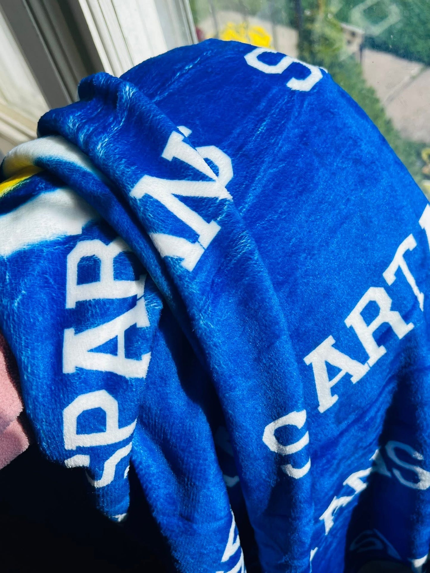 Dancescapes Fleece Blankets