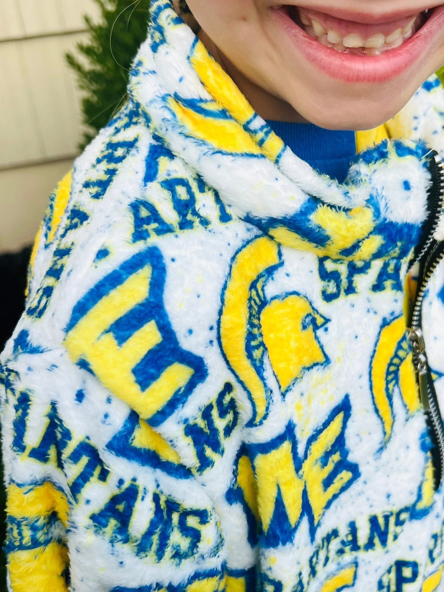 Dancescapes Fleece Pullover